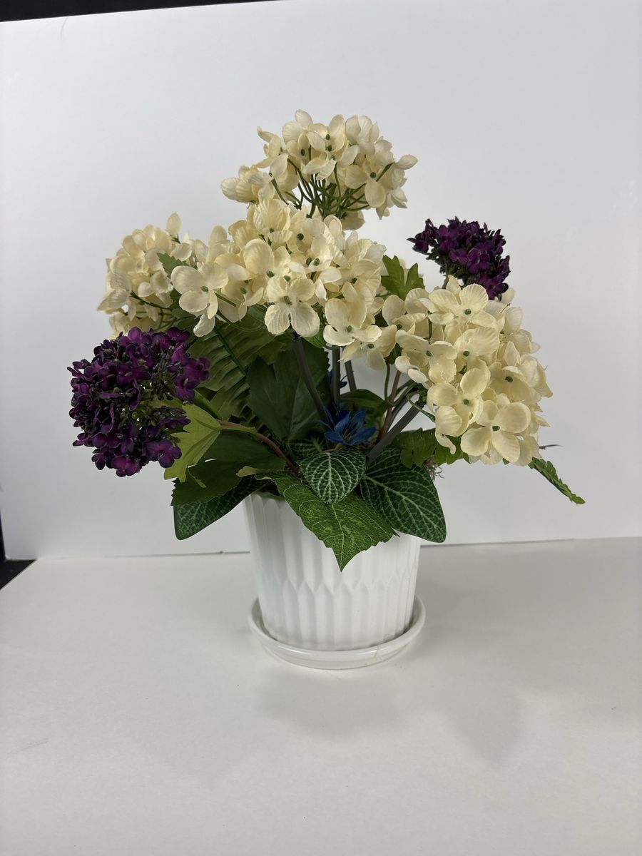 Main image 7