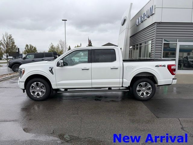 2023 Ford F-150 Platinum