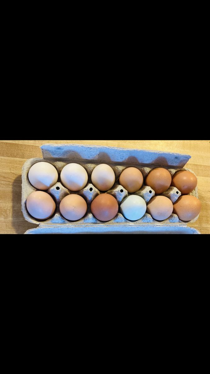 Farm fresh Eggs
