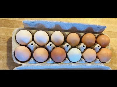 Farm fresh Eggs