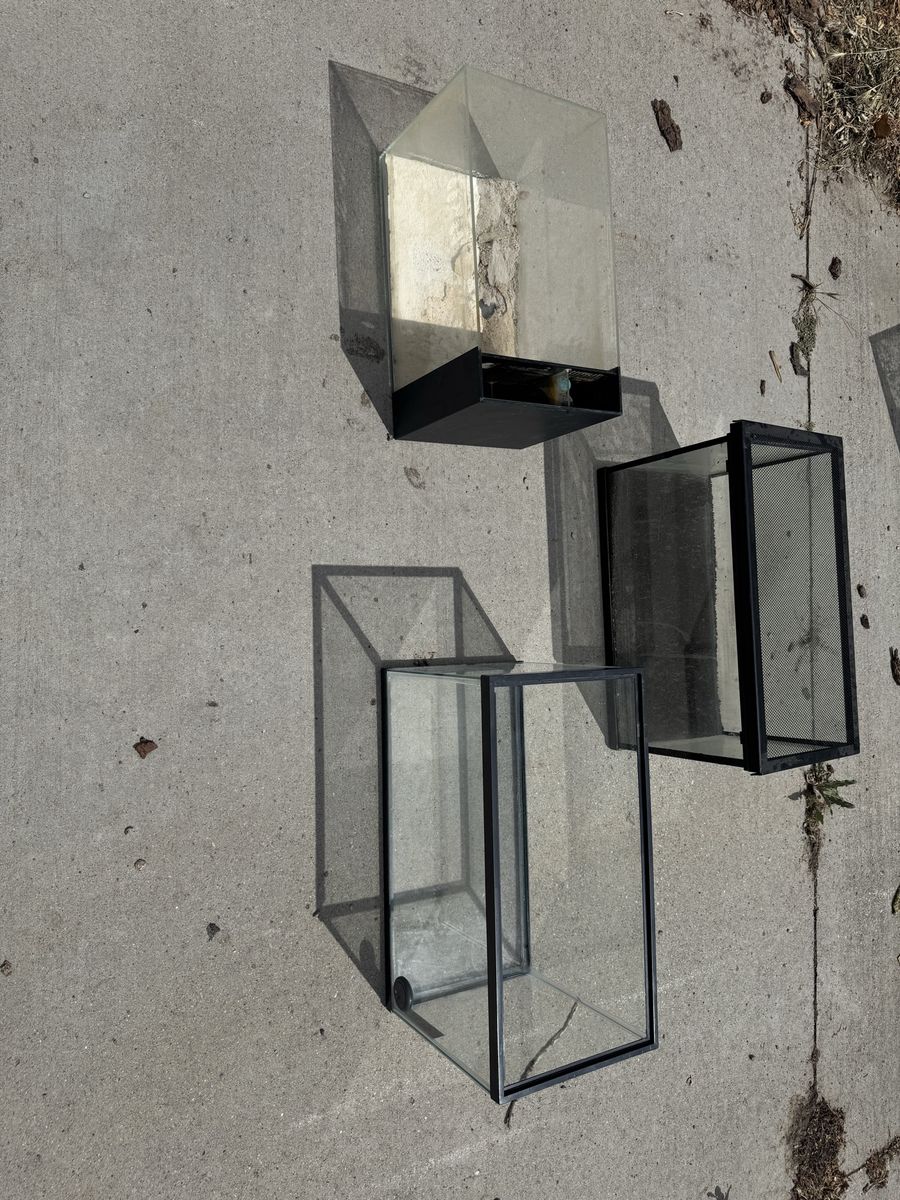 3 10 gal aquariums