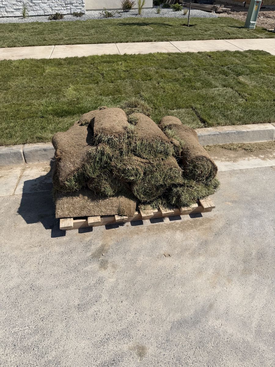 beautiful sod 