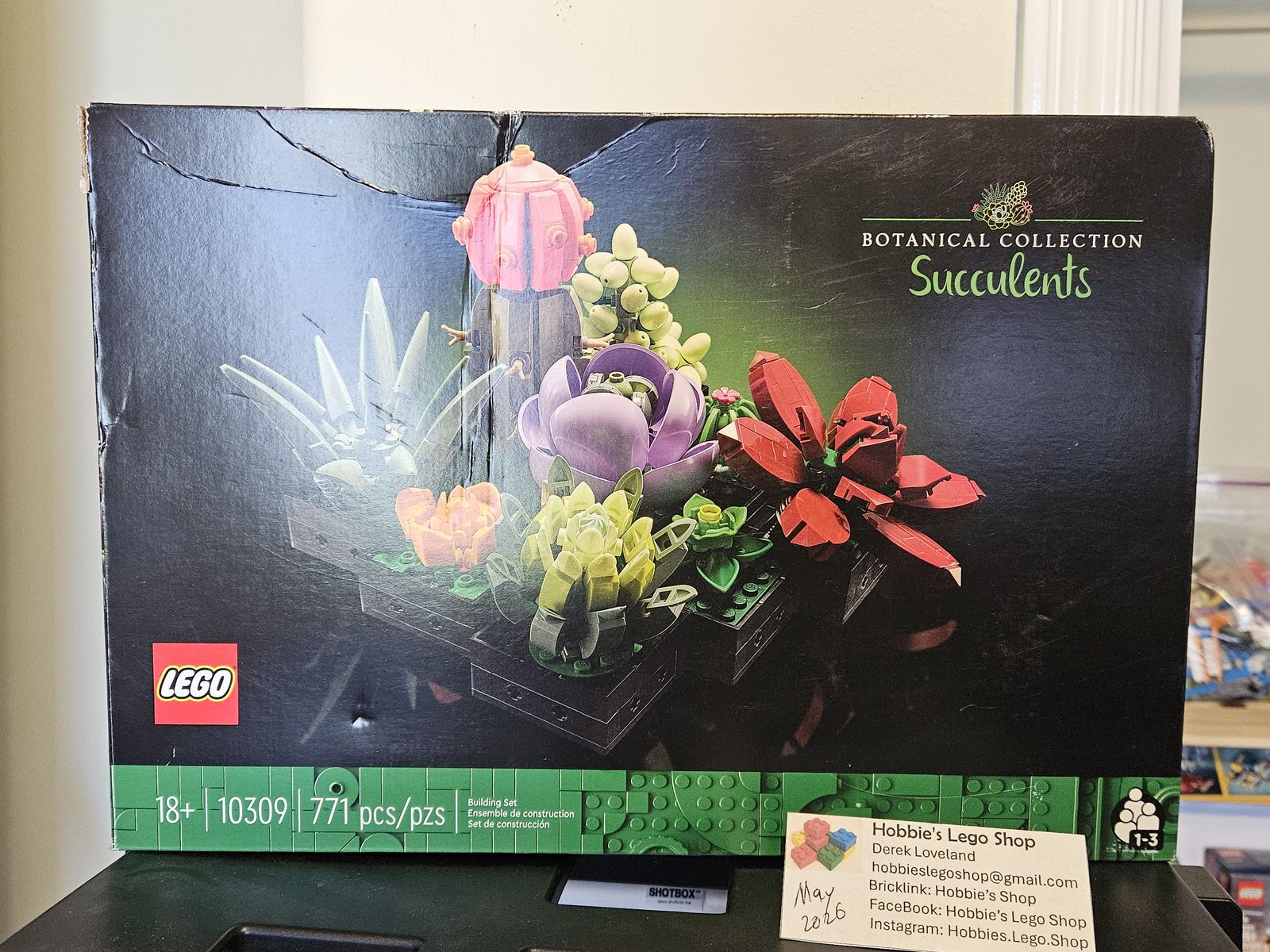 Lego Botanical: Succulents (10309)