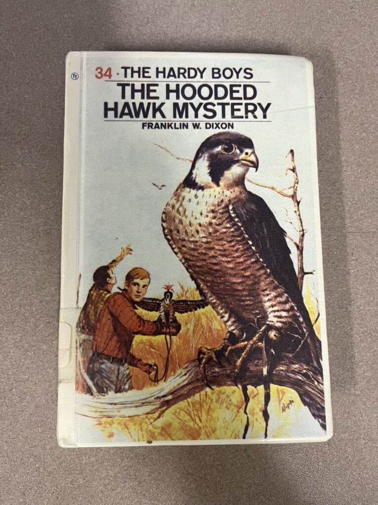 The Hardy Boys: The Hooded Hawk Mystery