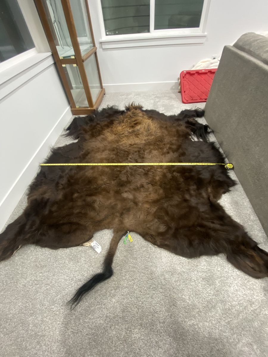 Bison Hide (tanned)