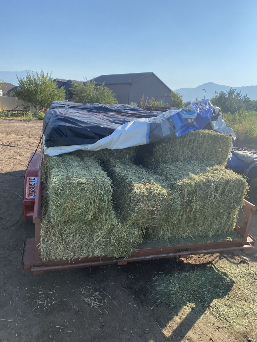 Alfalfa/Grass Mix Hay 