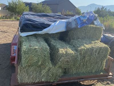 Alfalfa/Grass Mix Hay