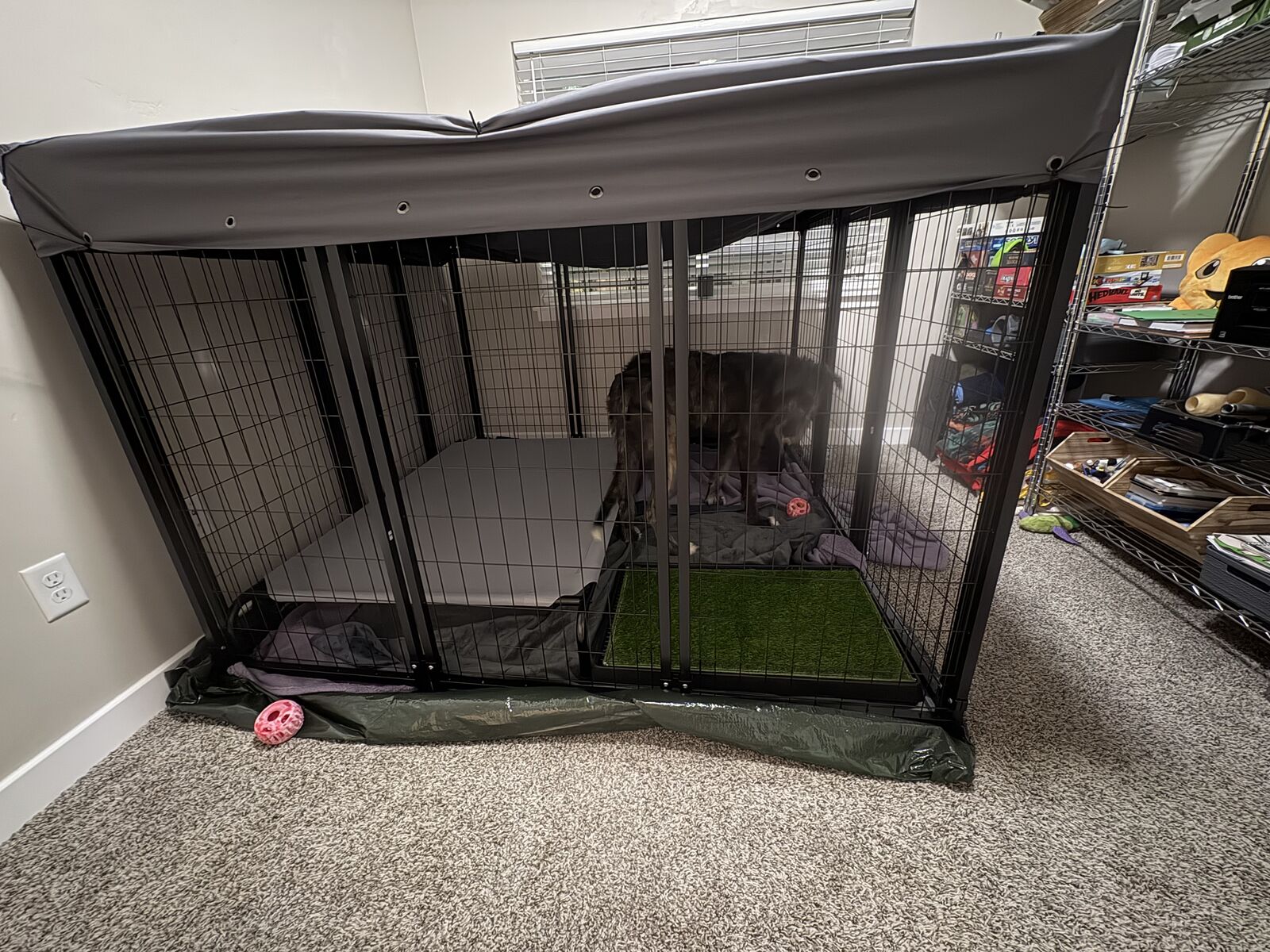 6x6 Dog Kennel