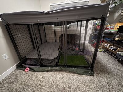 6x6 Dog Kennel