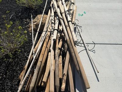 Free tree stakes