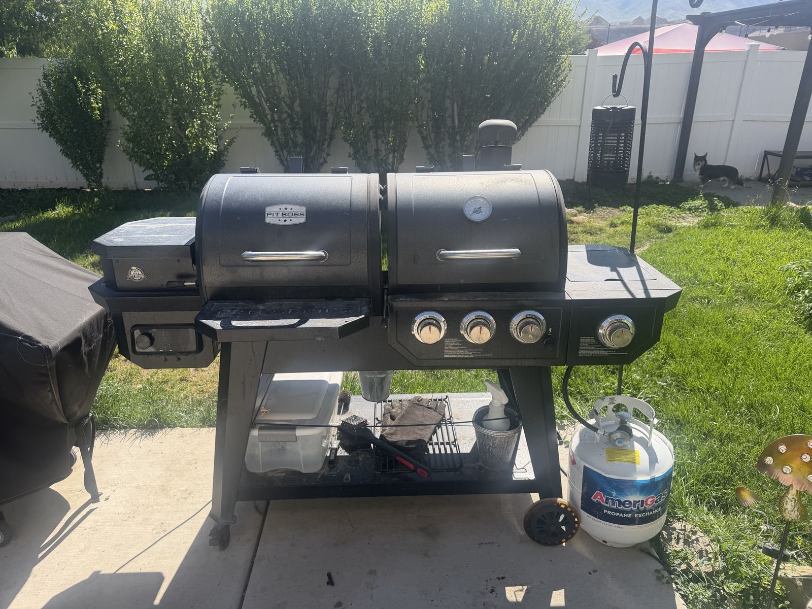 Pit boss pro series
