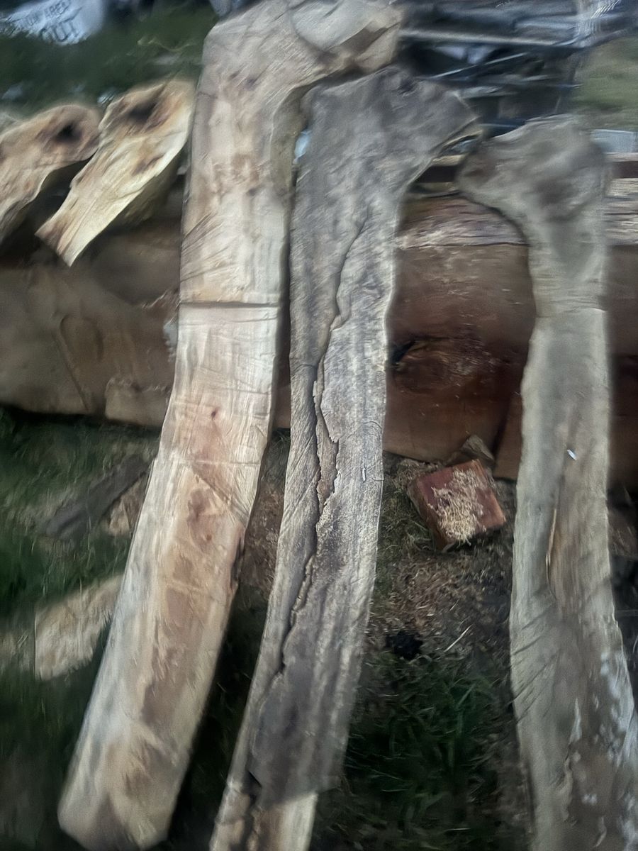 Live Edge oriental plain tree/Sycamore wood slabs,