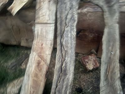 Live Edge oriental plain tree/Sycamore wood slabs,