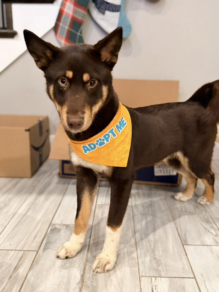 Meet Diz — the wiggly, wobbly wonder!