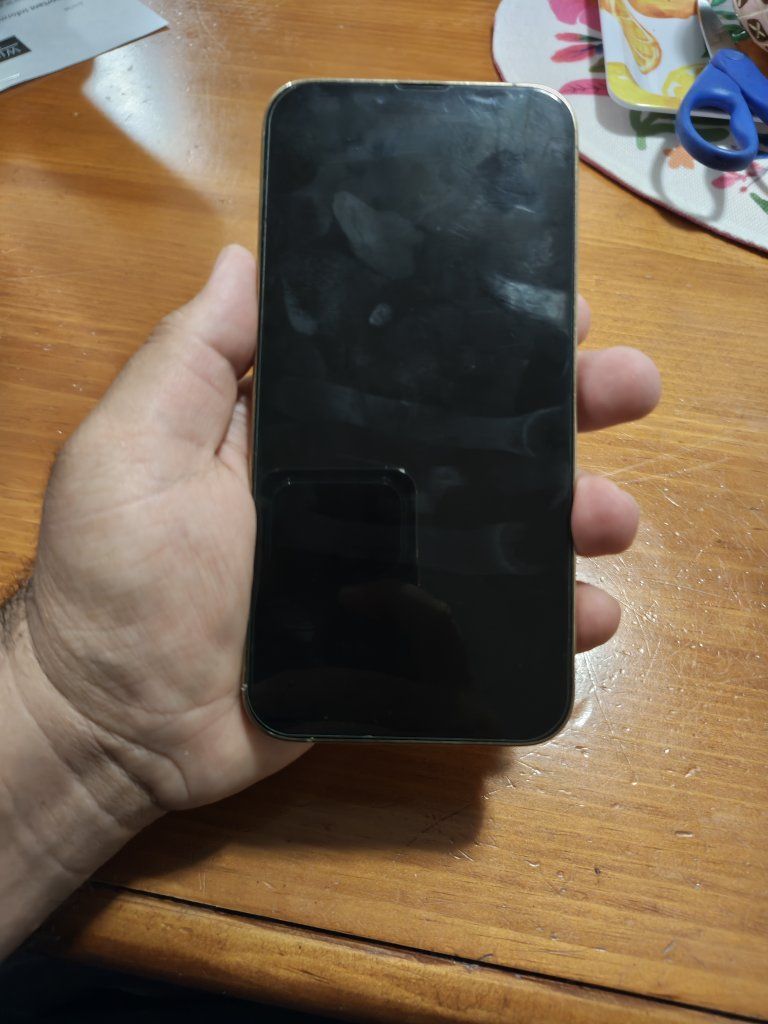 Apple iPhone 13 Pro Max + Apple watch