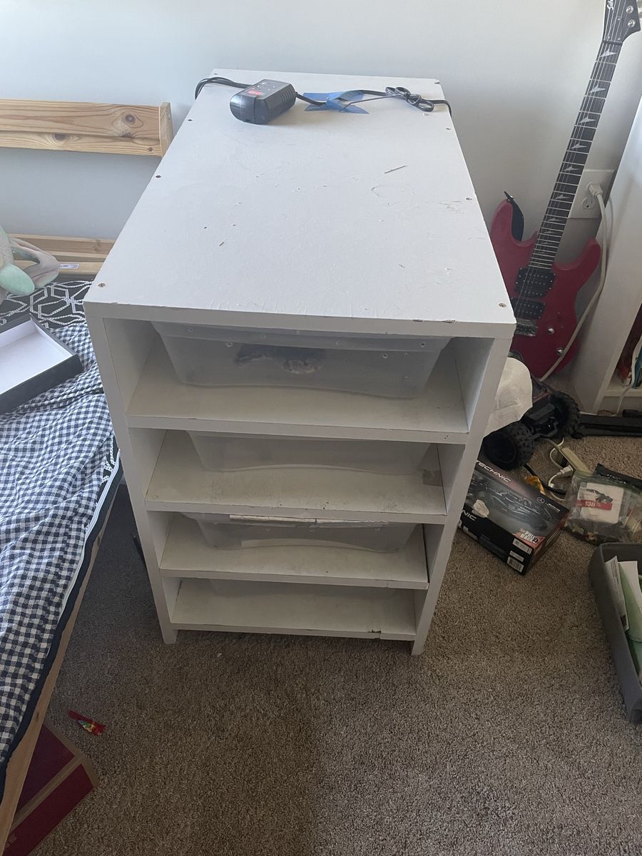 Snake rack with four ball pythons 