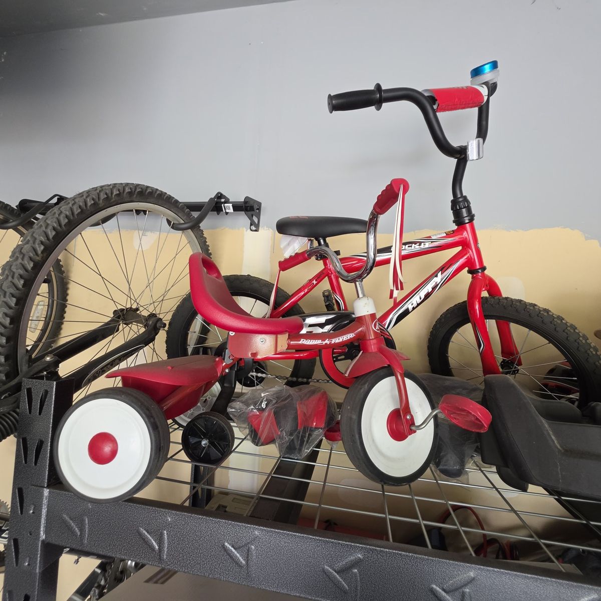 Mountain Bike - Teen, Kid sizes