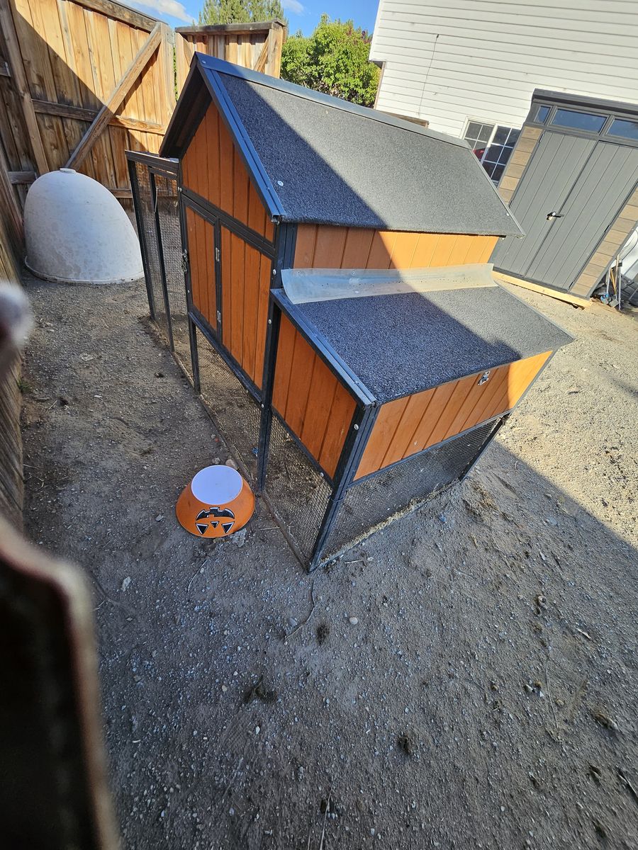Main image 6