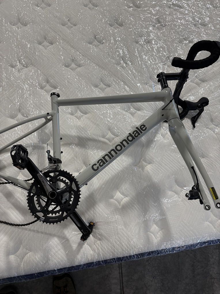 Cannodale Synaps Carbon  SIze 54 See Pics