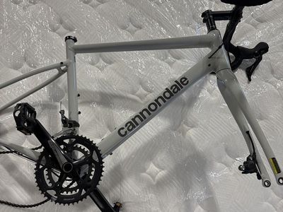 Cannodale Synaps Carbon SIze 54 See Pics