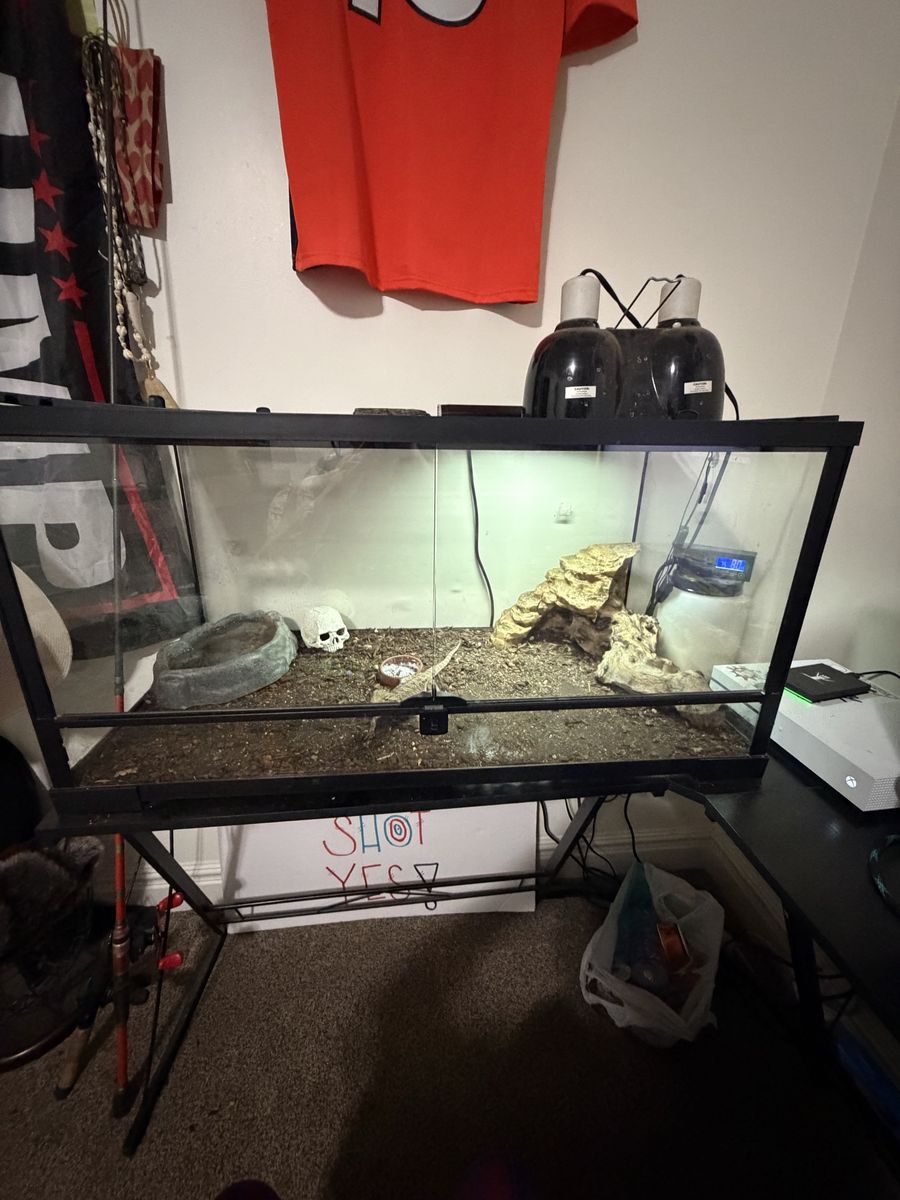 Main image 4