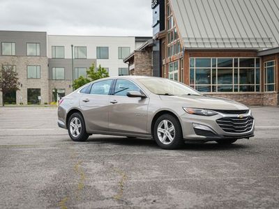 2022 Chevrolet Malibu LS Fleet