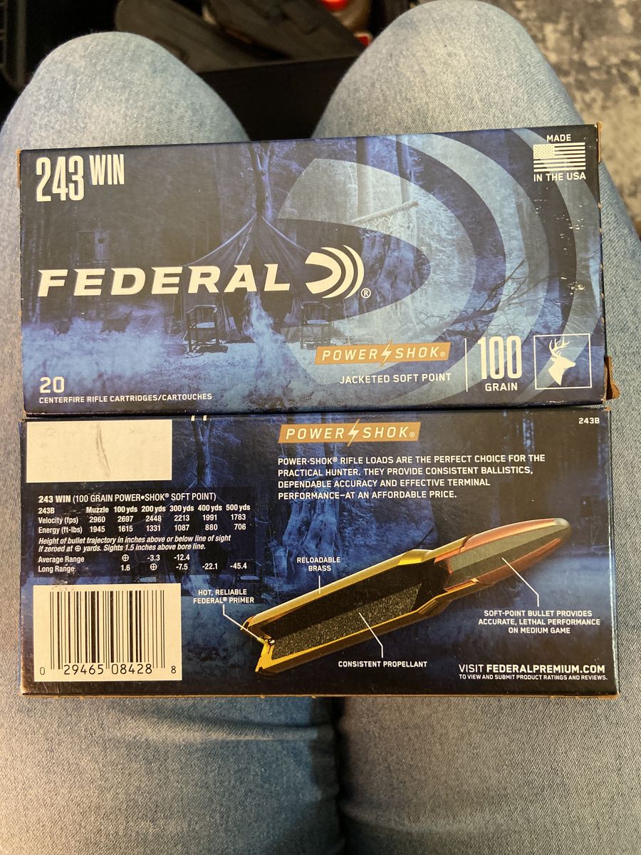 243 win, 100 grain