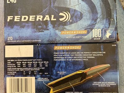 243 win, 100 grain
