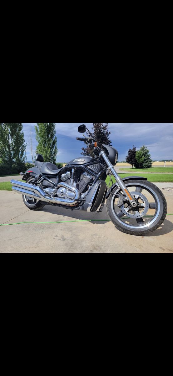 Harley Davidson V Rod Night Rod