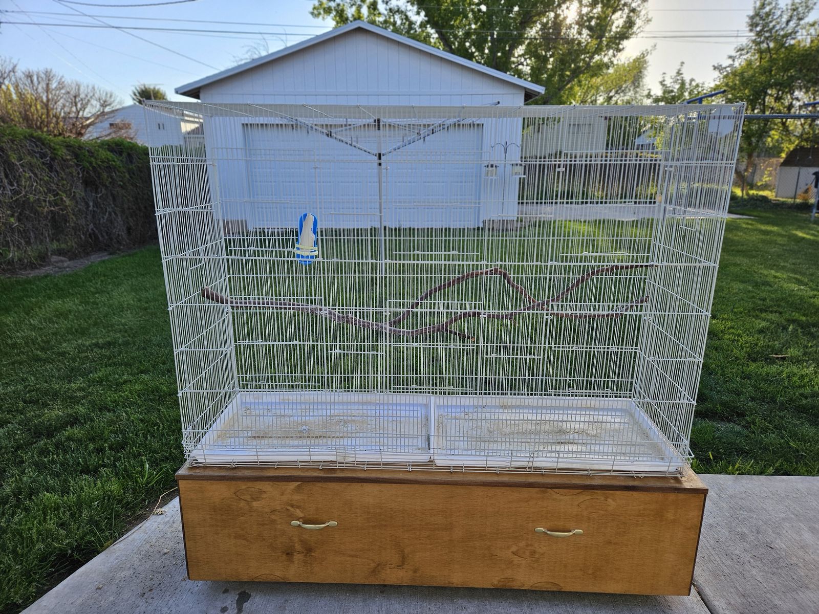 Bird cage