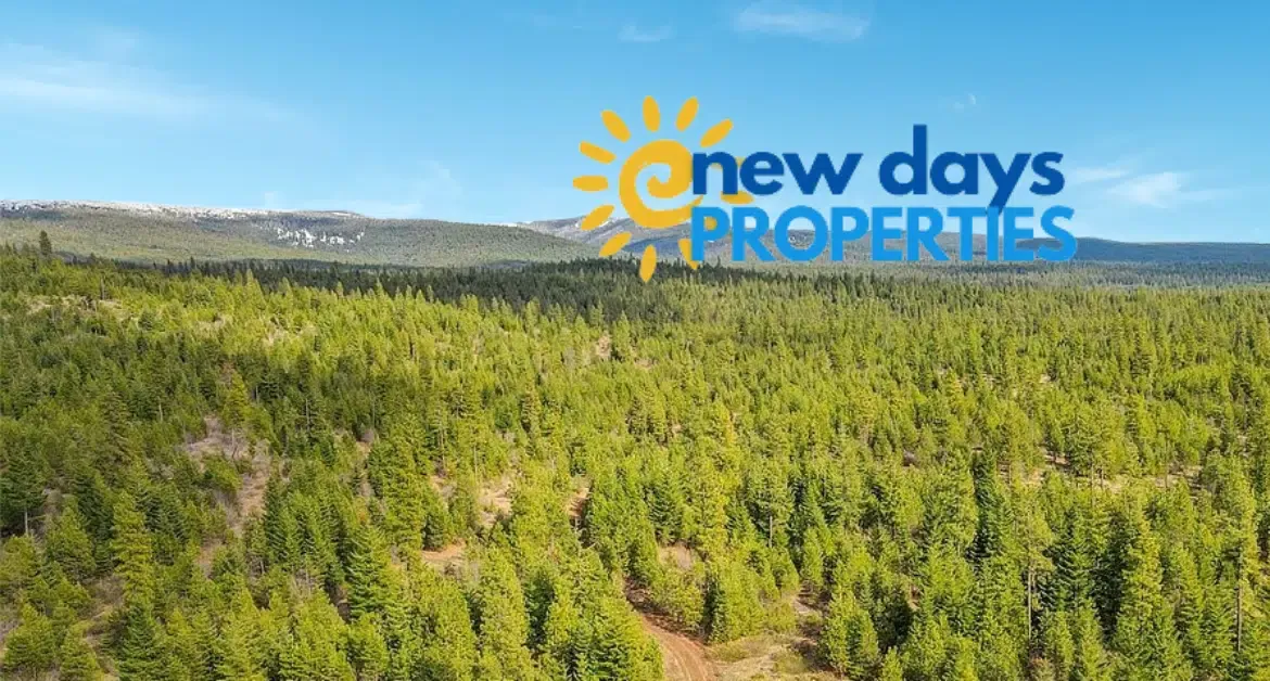 Perfect Camping or Cabin Spot – 0.92 Acres for Sale in Likely, CA