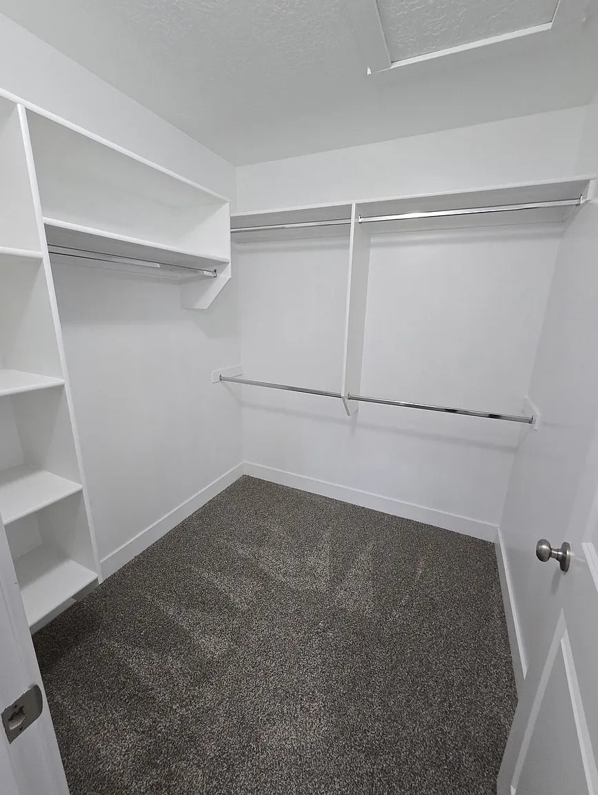 Main image 7