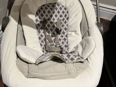 Graco Duetsoothe Swing And Rocker