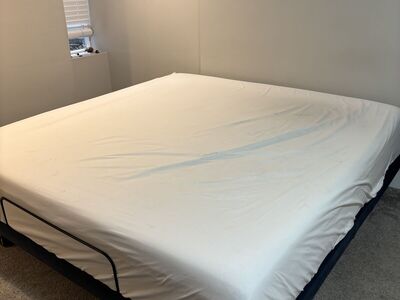 King Size Tempur Pedic Pro With Adjustable Base
