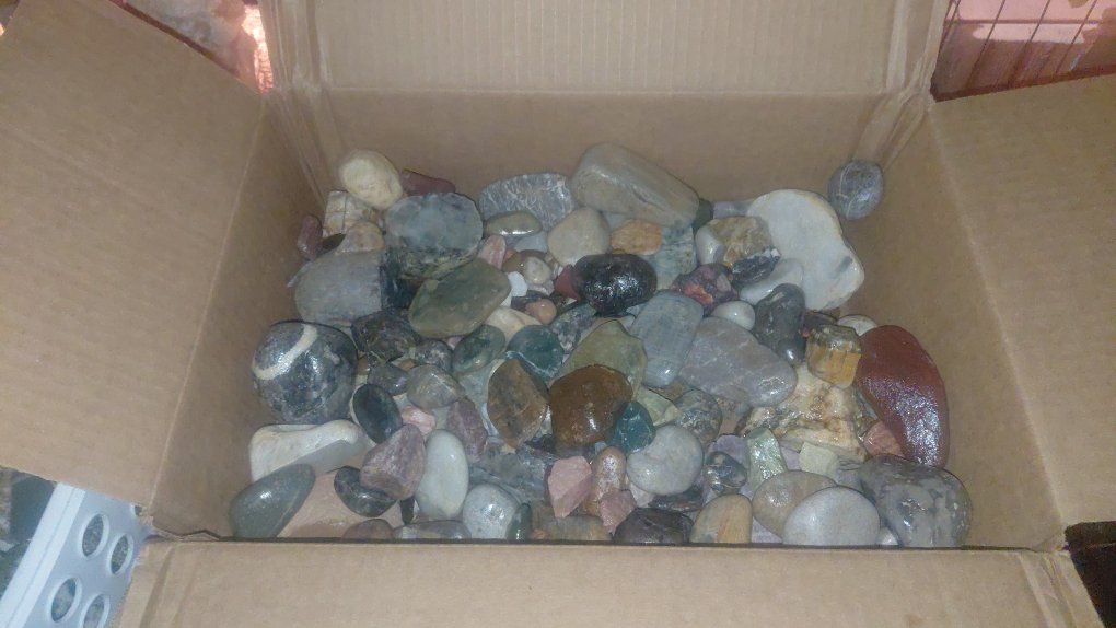 Main image 11