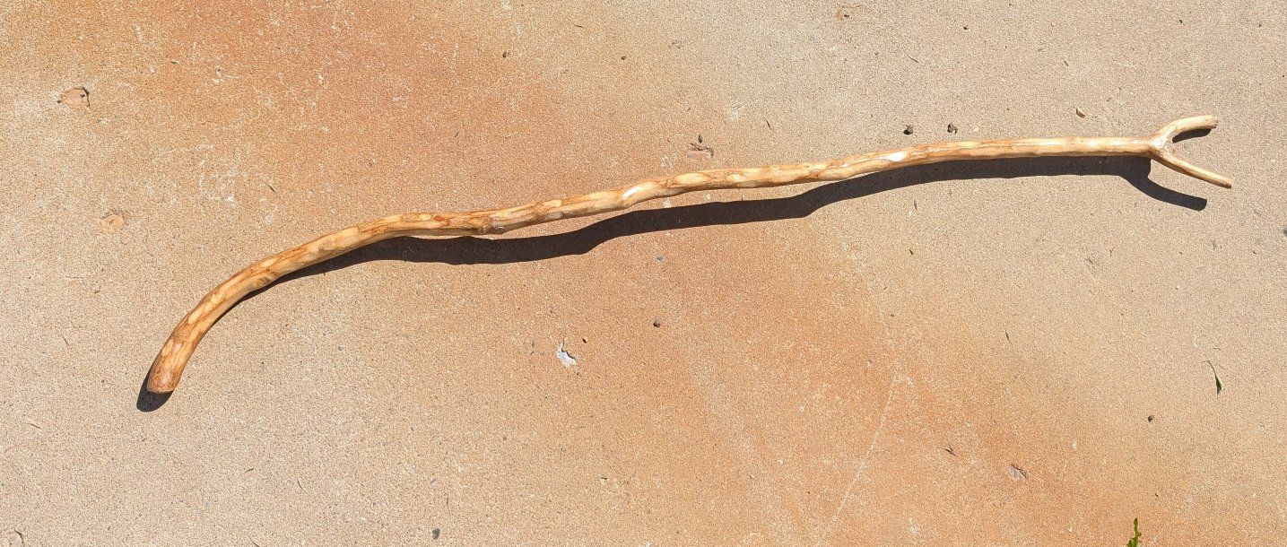 Hand-carved Natural Wood Walking Stick with Forked Top - Unique Design