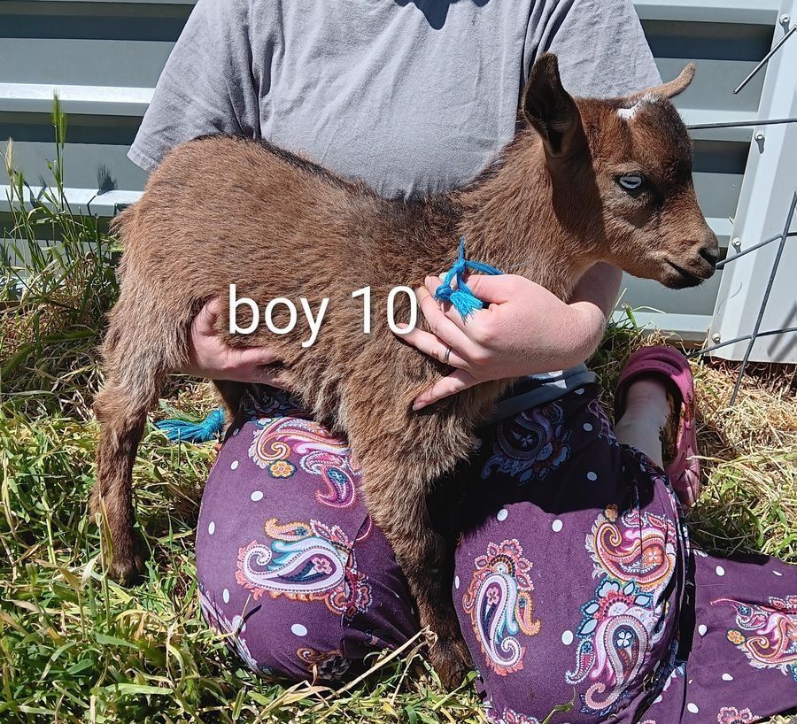 Main image 14