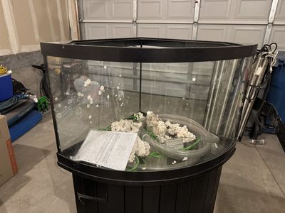 Gorgeous 42-Gallon Bowfront Aquarium – Ready to Go!