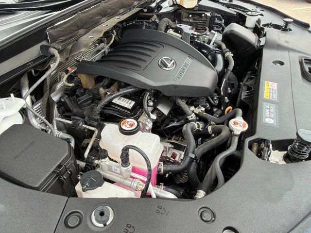 Main image 39
