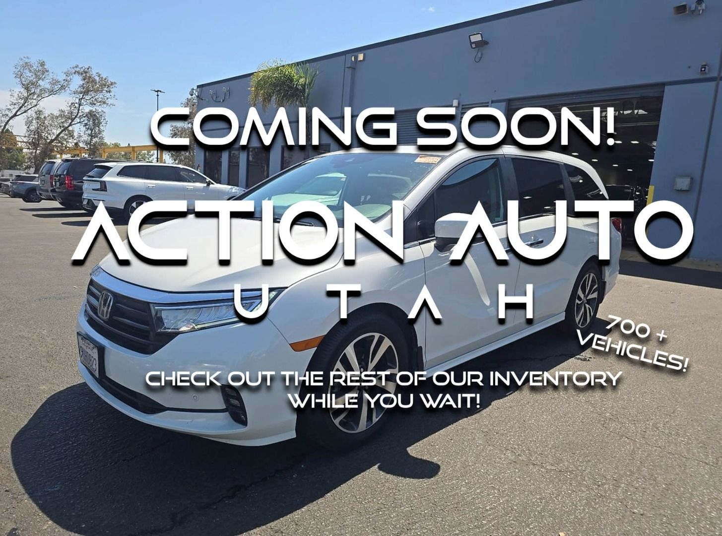 2023 Honda Odyssey Touring