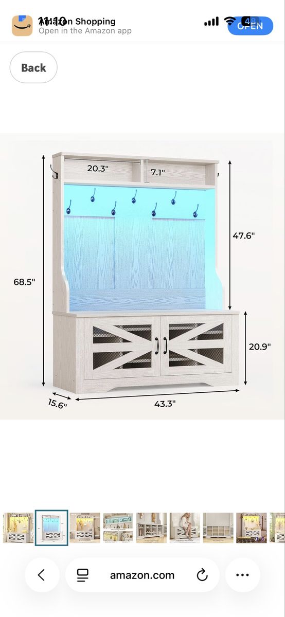 Coat Rack With Shoe Storage Organizer