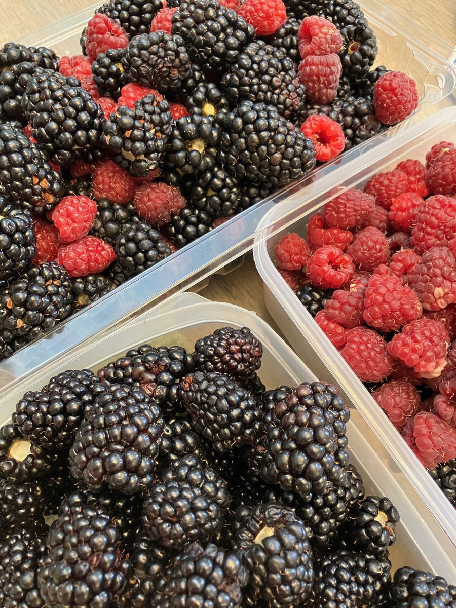 U Pick Organic Berries