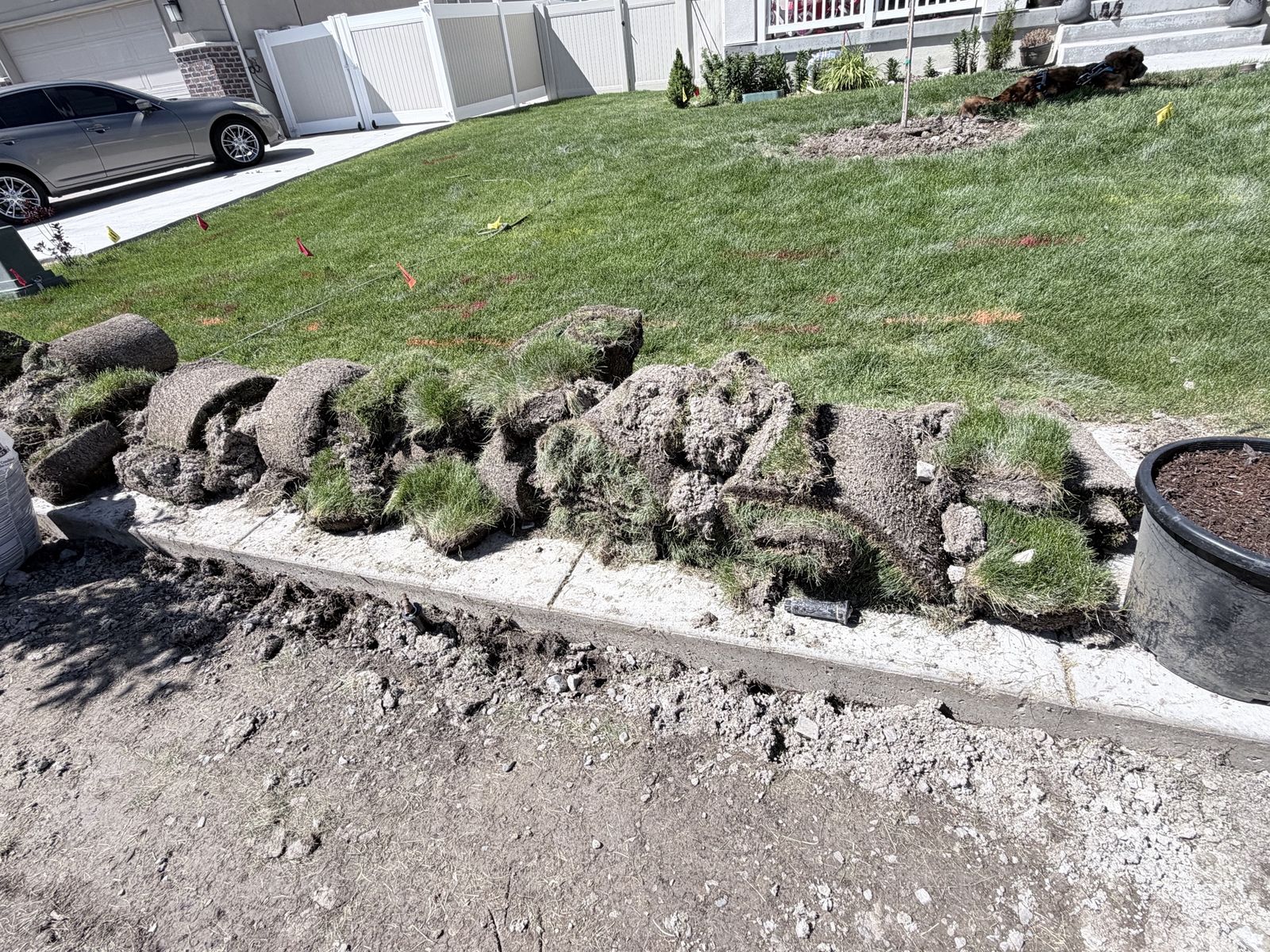 Free sod / grass