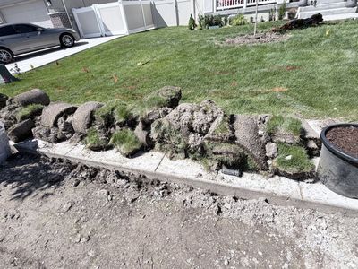 Free sod / grass