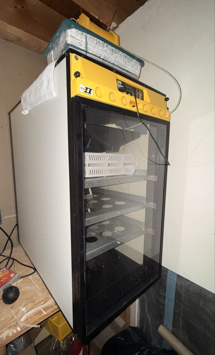 Main image 2