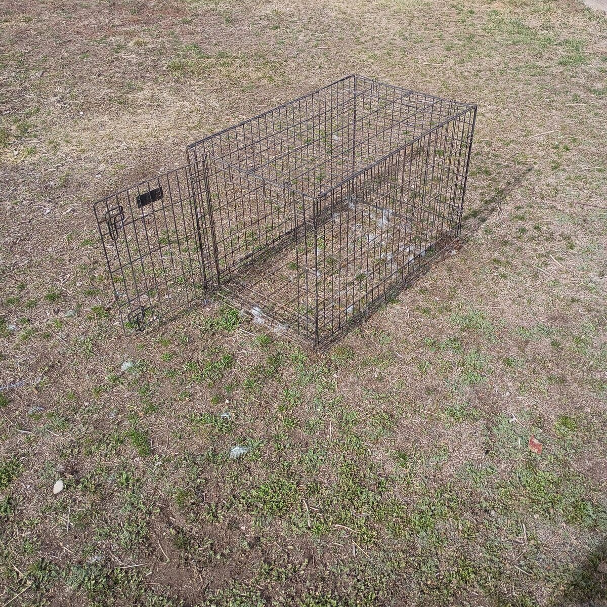 dog crate or kennel