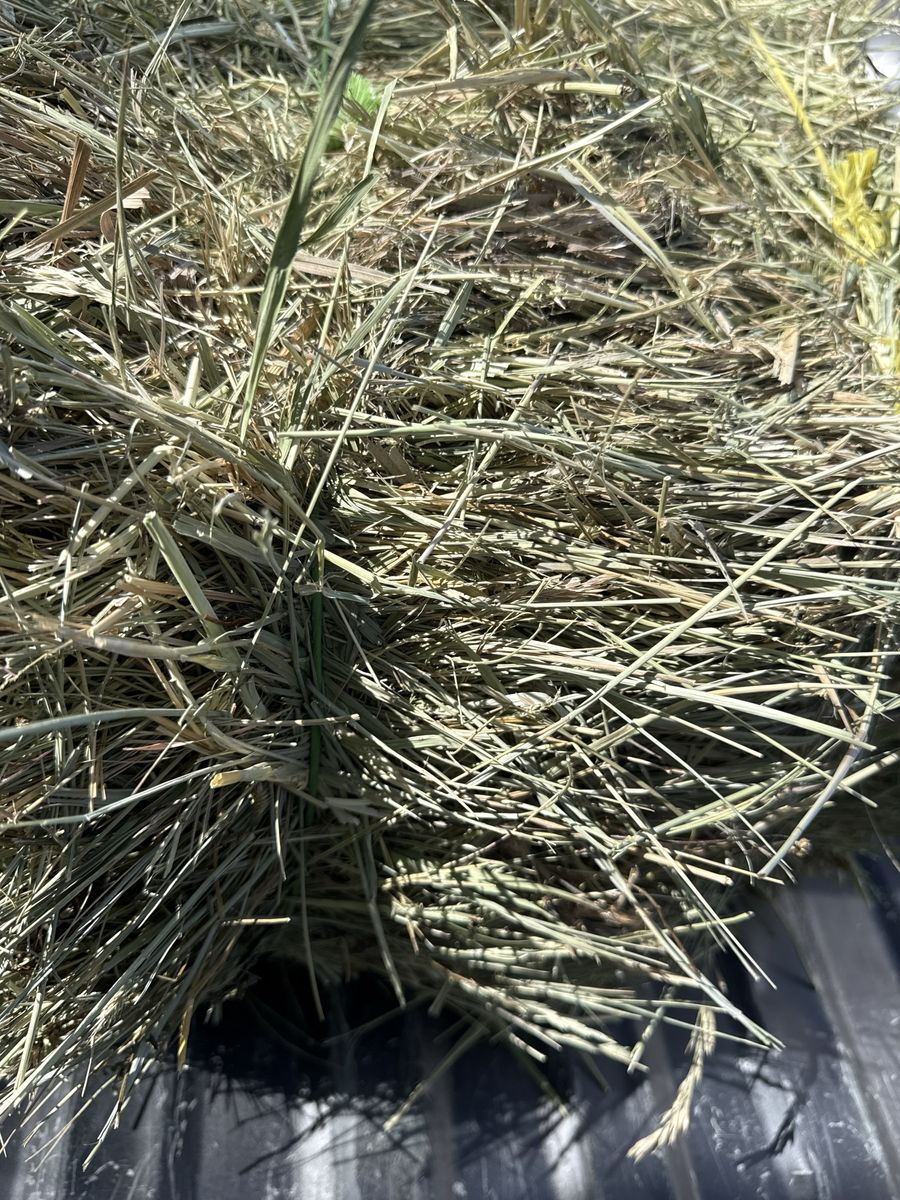 Grass hay mix 2 string bales