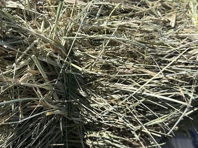 Grass hay mix 2 string bales