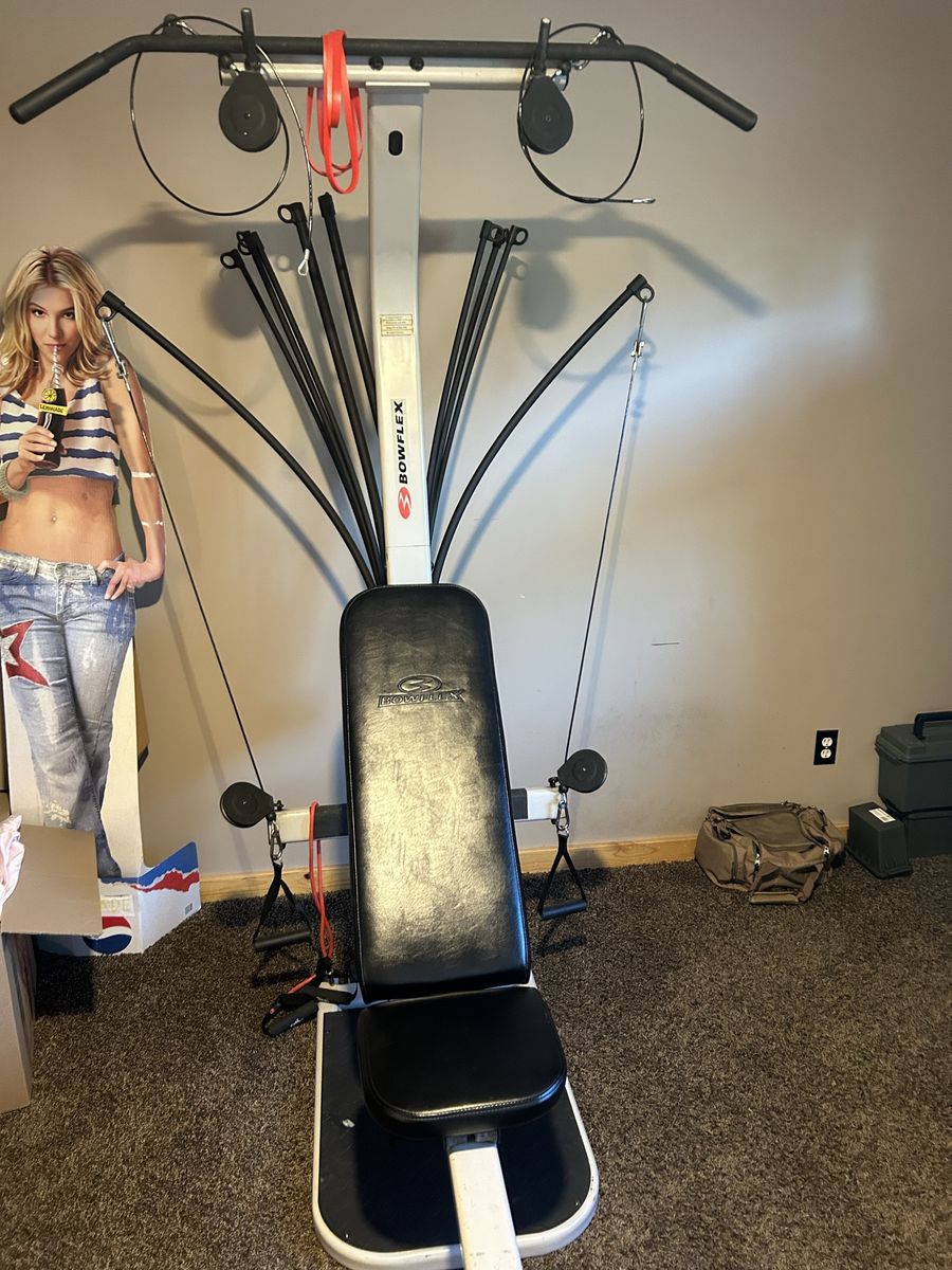 Full body workout