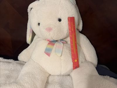 BIg Stuffed Bunny